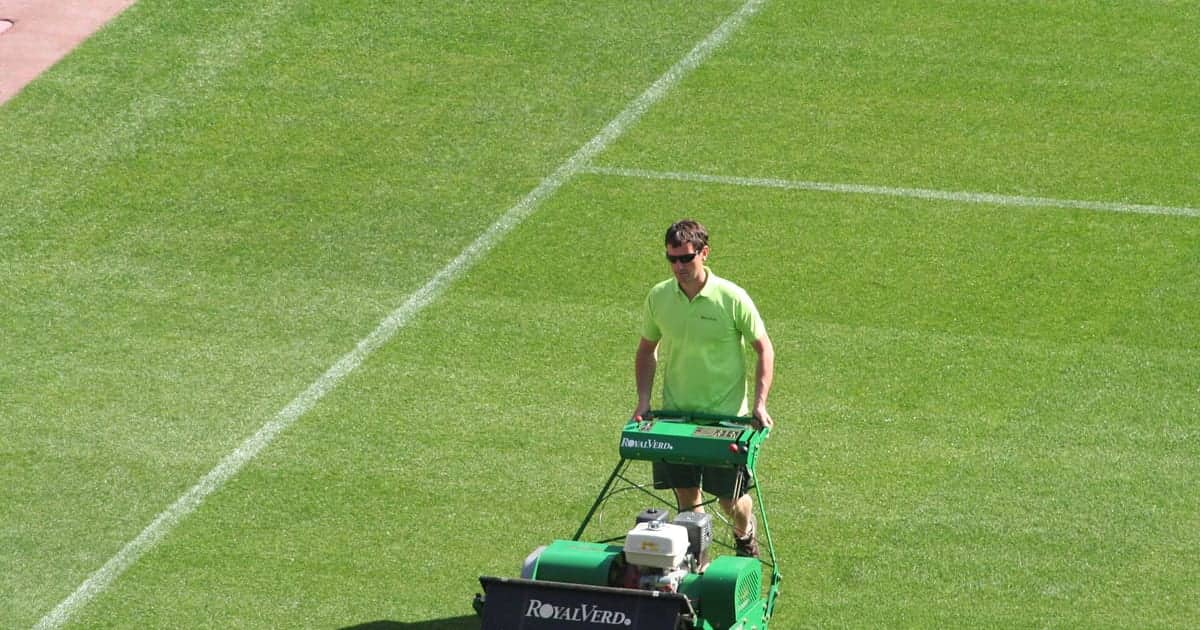 Il manto erboso di un campo da calcio